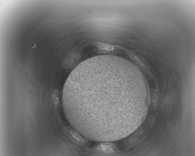 X0000068260758200605051749