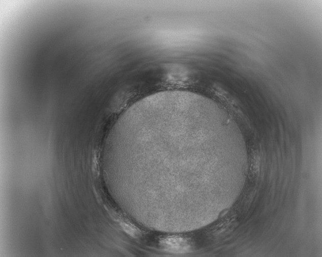 X0000068260759200605051749