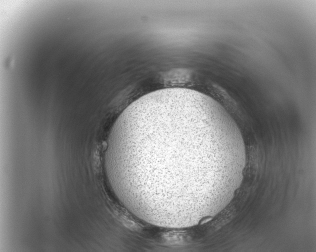 X0000068260761200605051749