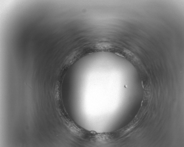 X0000068260762200605051749