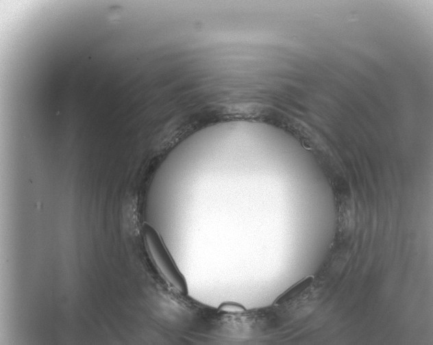 X0000068260764200605051749