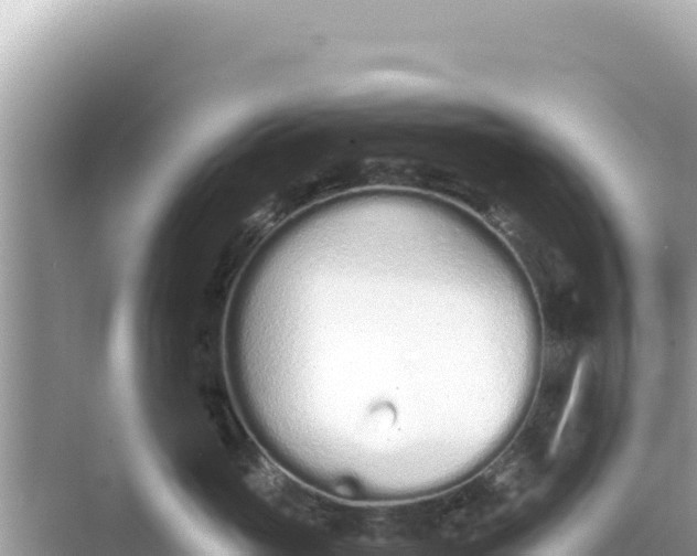 X0000068260765200605051749