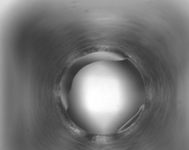 X0000068260766200605051749