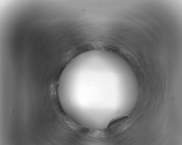 X0000068260768200605051749