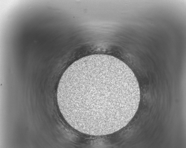 X0000068260769200605051748