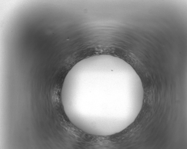 X0000068260770200605051748