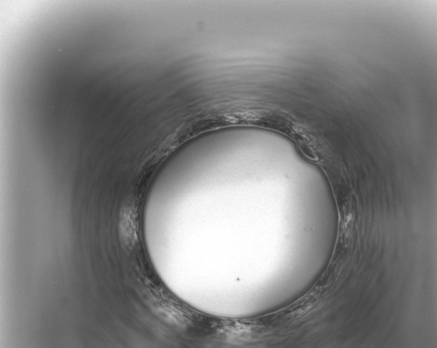 X0000068260772200605051748