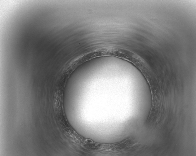 X0000068260773200605051748