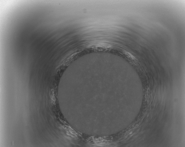 X0000068260774200605051748