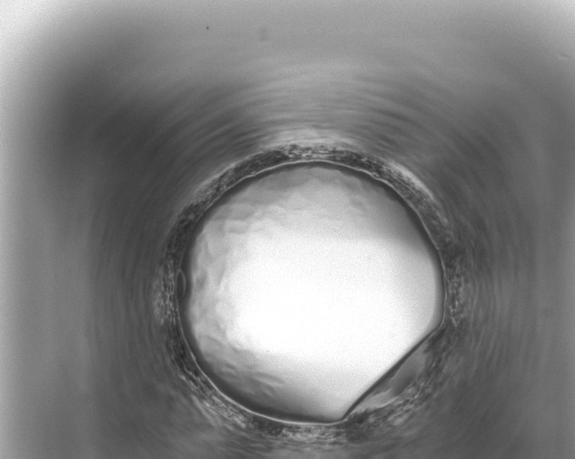 X0000068260775200605051748