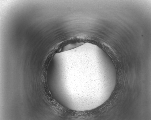 X0000068260776200605051748