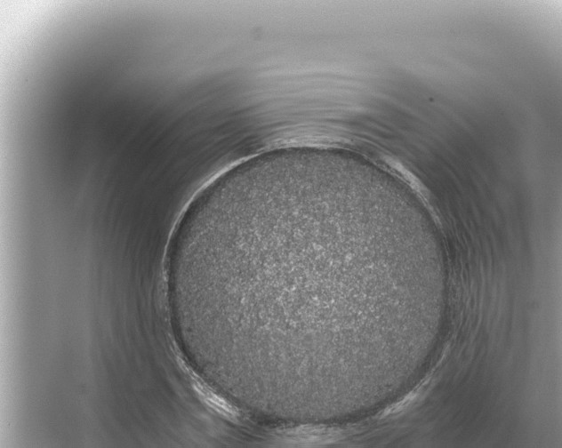 X0000068260779200605051748