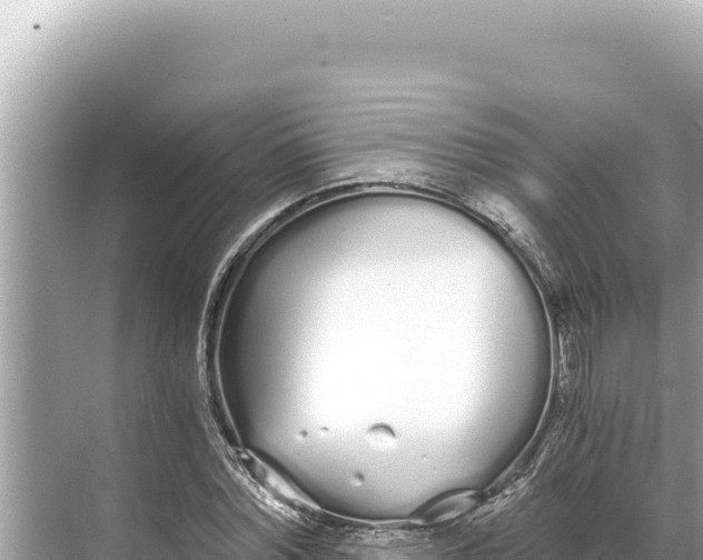 X0000068260780200605051748