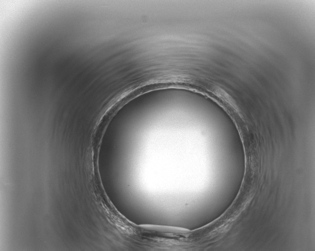 X0000068260781200605051748