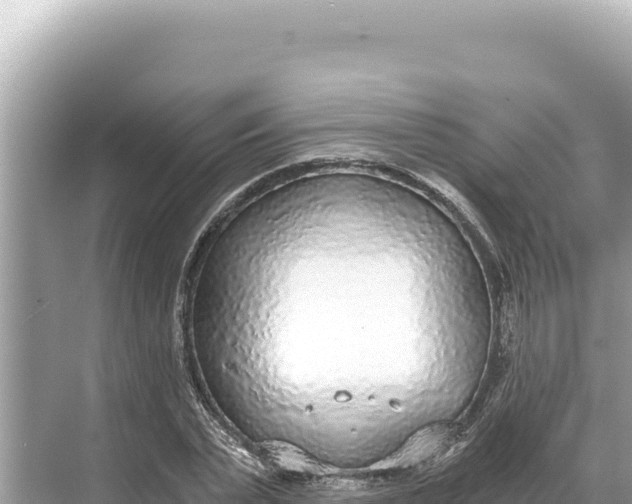 X0000068260783200605051748