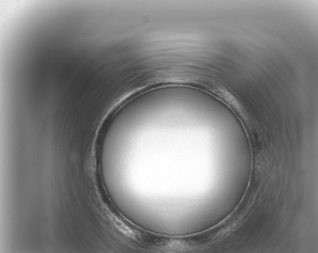 X0000068260787200605051748