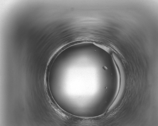 X0000068260788200605051748