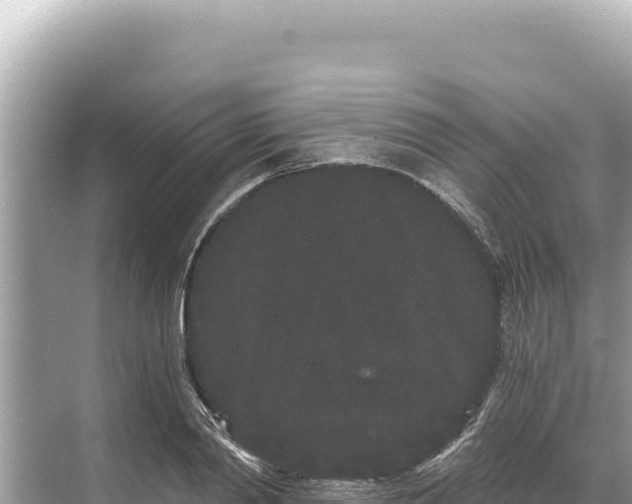 X0000068260790200605051748