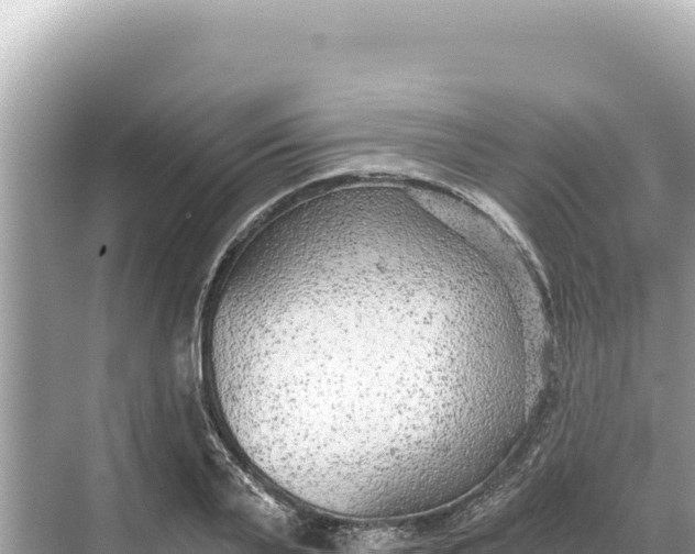 X0000068260791200605051748