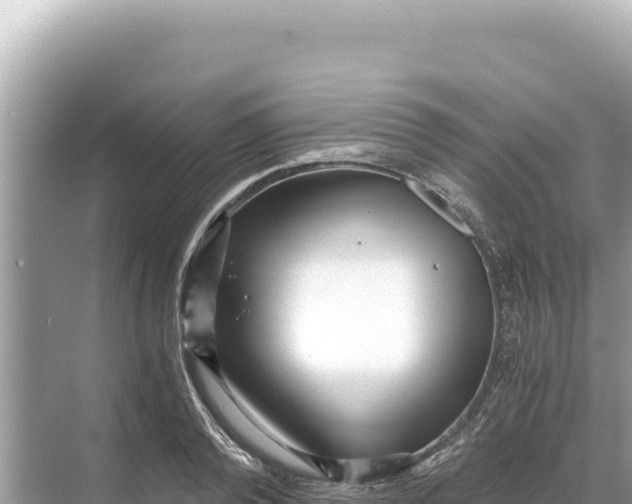 X0000068260792200605051748