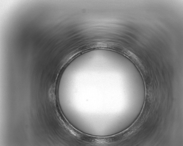 X0000068260794200605051748