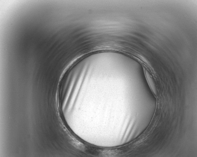 X0000068260796200605051748