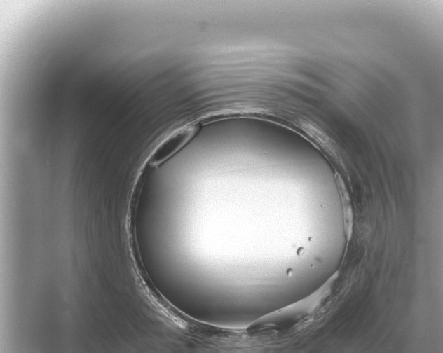 X0000068260797200605051748