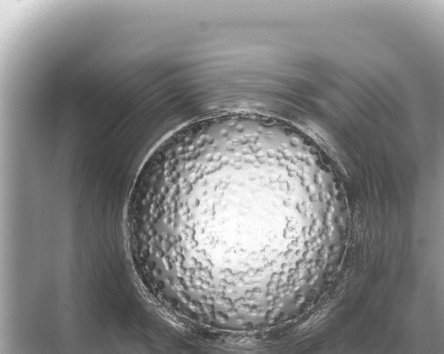 X0000068260798200605051748