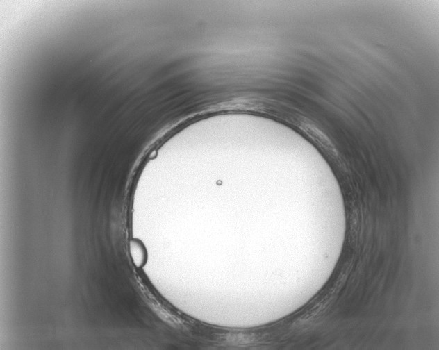 X0000068260800200605051748