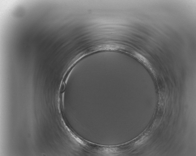 X0000068260802200605051748