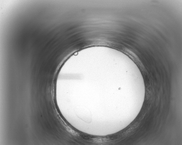 X0000068260804200605051747