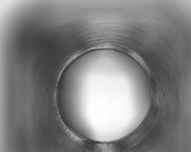 X0000068260805200605051747