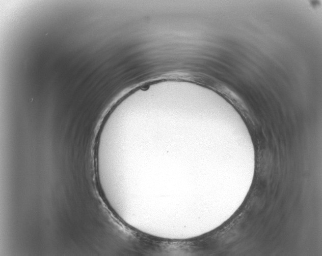 X0000068260808200605051747