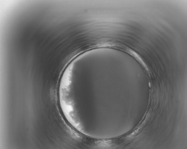 X0000068260810200605051747