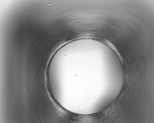 X0000068260811200605051747