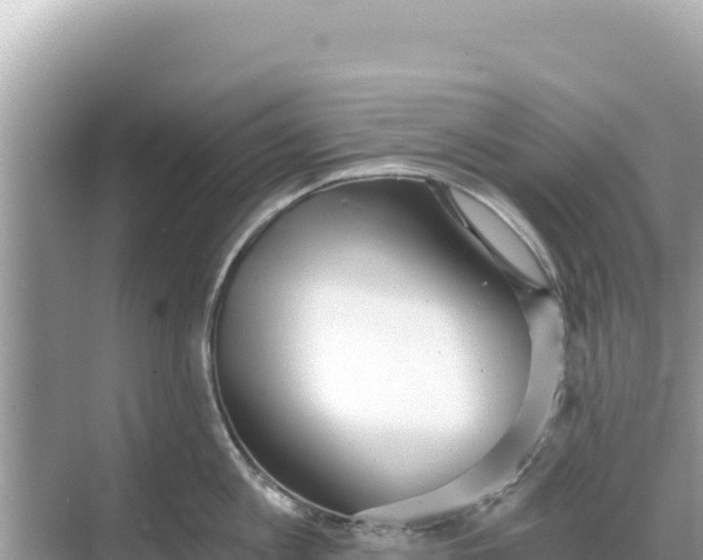 X0000068260813200605051747