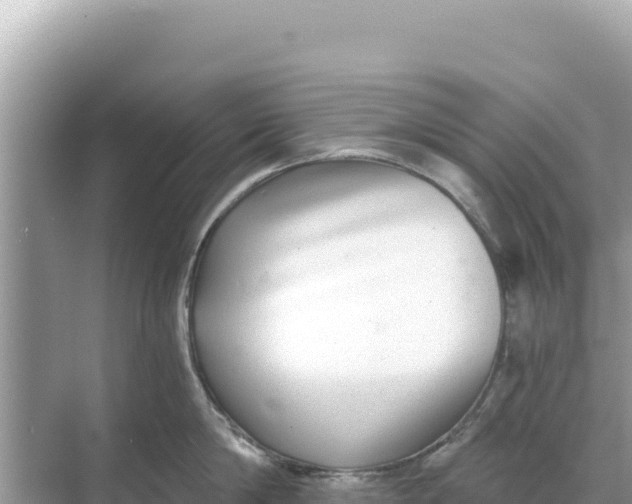 X0000068260814200605051747