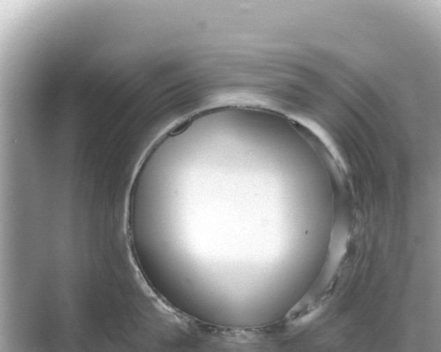 X0000068260815200605051747