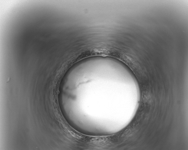 X0000068260817200605051746