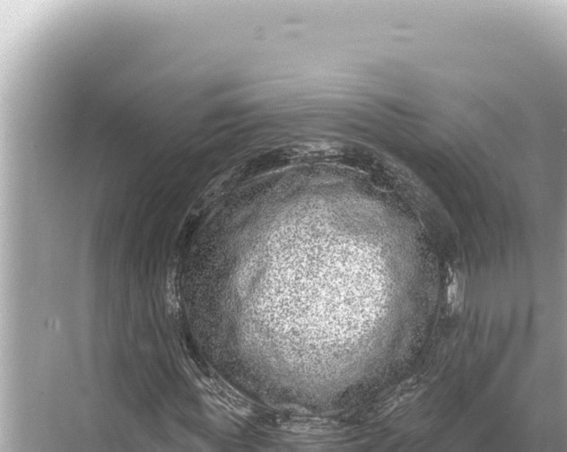 X0000068260819200605051747