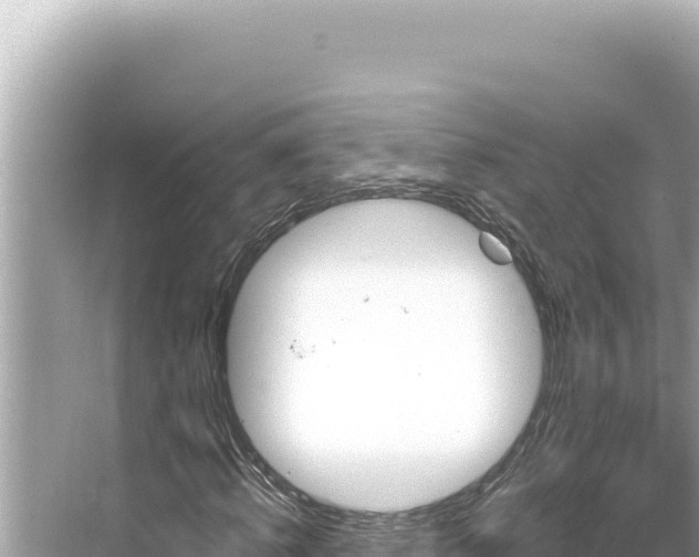 X0000068260820200605051747