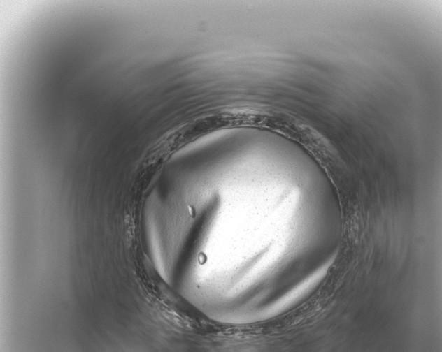 X0000068260821200605051747