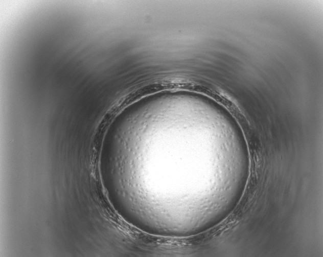 X0000068260823200605051747