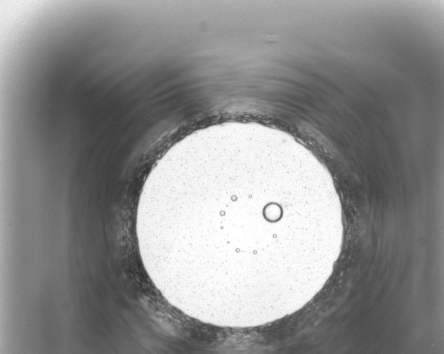 X0000068260824200605051747