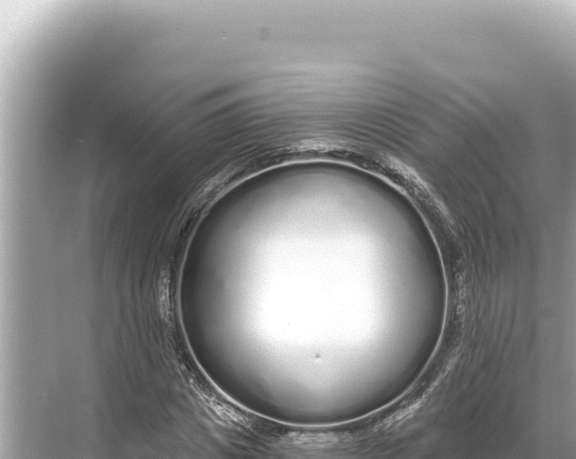 X0000068260825200605051747