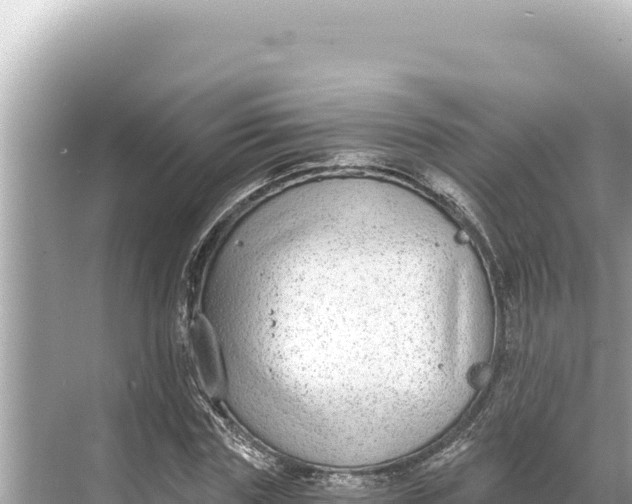 X0000068260827200605051747