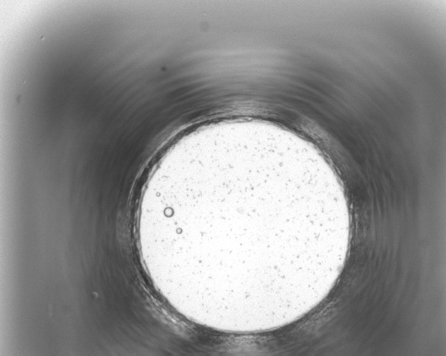 X0000068260828200605051747