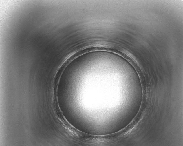 X0000068260829200605051747