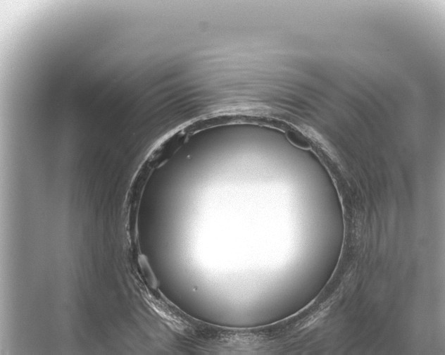 X0000068260830200605051747