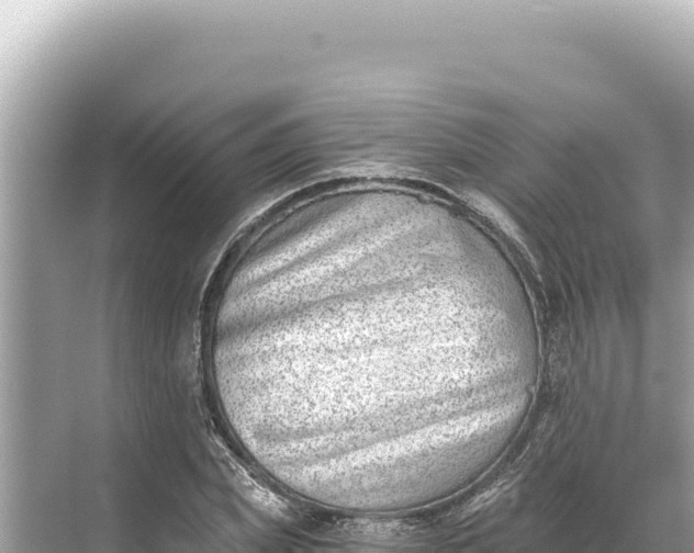 X0000068260831200605051747